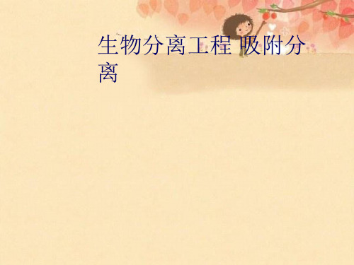 生物分离工程 吸附分离优秀课件