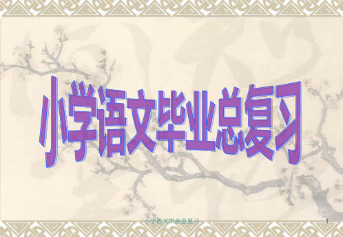 小学语文毕业总复习 ppt课件