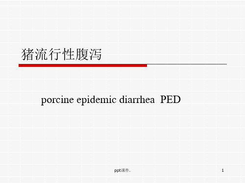 各论猪流行性腹泻精选幻灯片