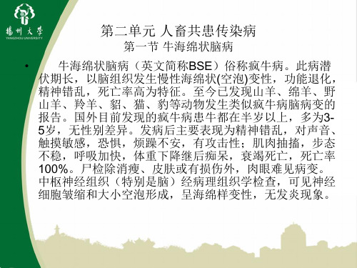 2013执业兽医资格考试人畜共患传染病