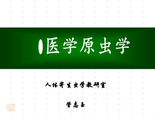 人体寄生虫学-原虫概论 溶组织内阿米巴-文档资料