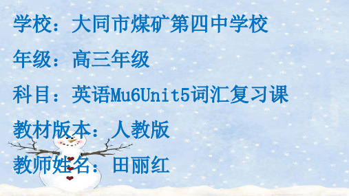 高中英语选修6unit5词汇复习