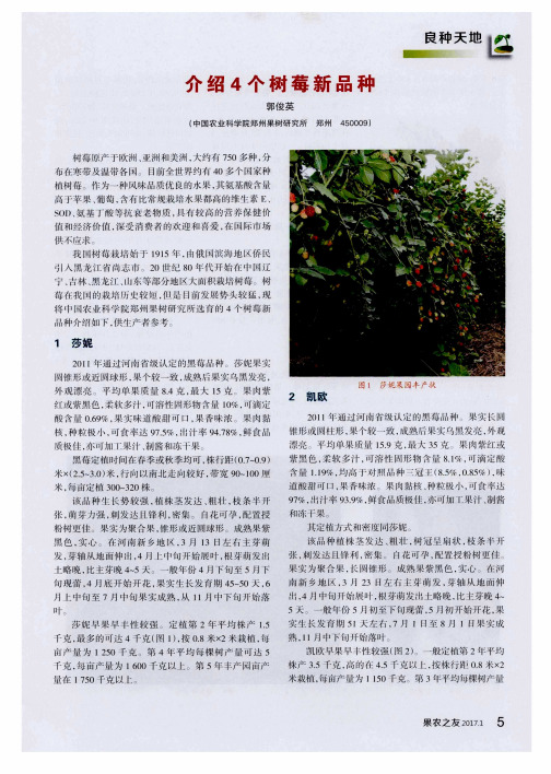 介绍4个树莓新品种