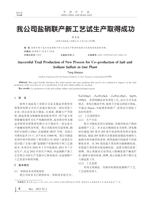 盐硝联产新工艺试生产取得成功