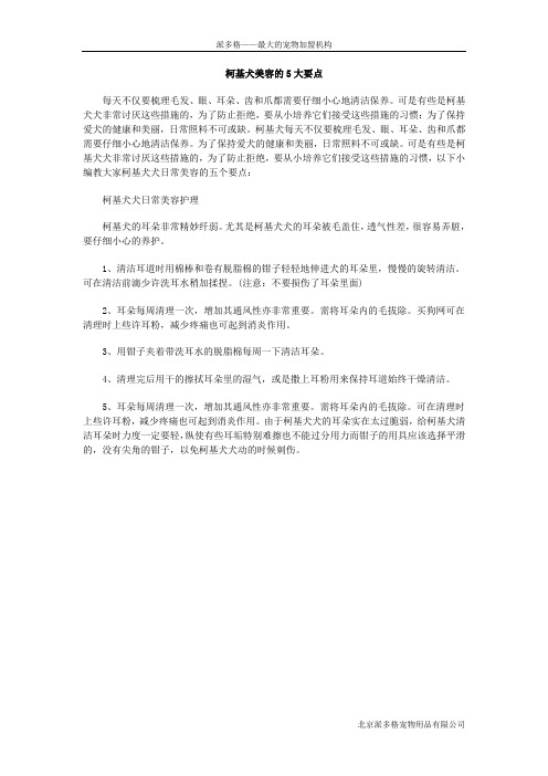 柯基犬美容的5大要点
