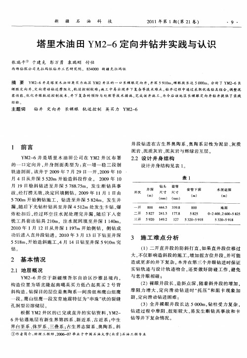 塔里木油田YM2-6定向井钻井实践与认识