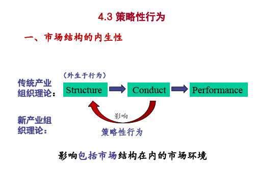 4.3 策略性行为