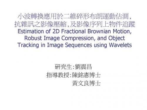 小波转换应用於二维碎形布朗运动估测