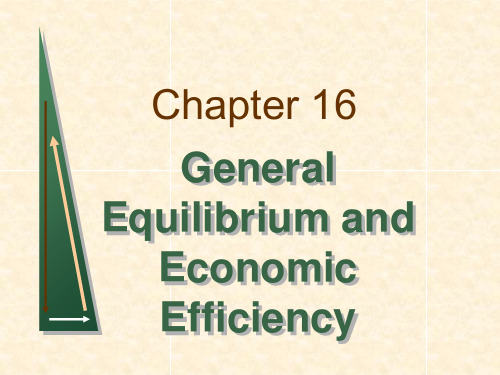 chapter_16 General Equilibrium and Economic Efficiency 平狄克微观英文版课件