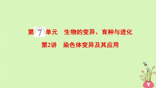 2019版高考生物一轮复习第7单元生物的变异育种与进化第2讲基因突变和基因重组课件苏教版