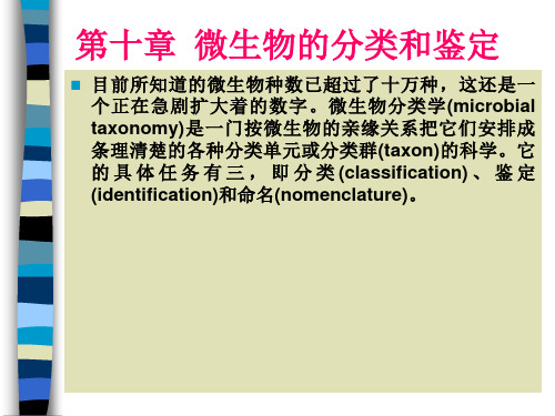 微生物的分类和鉴定