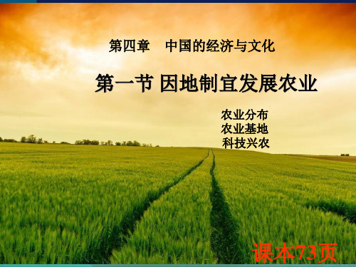 星球版八上第四章第一节因地制宜发展农业 课件