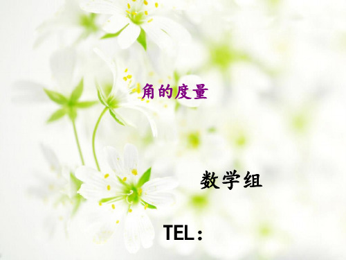 四年级奥数角的度量 ppt课件