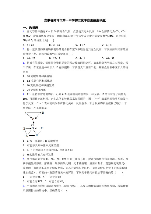 安徽省蚌埠市第一中学初三化学自主招生试题)