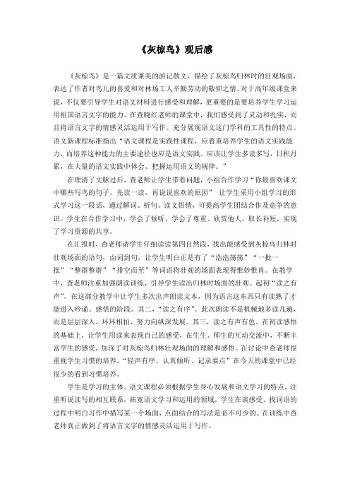 《灰椋鸟》观后感