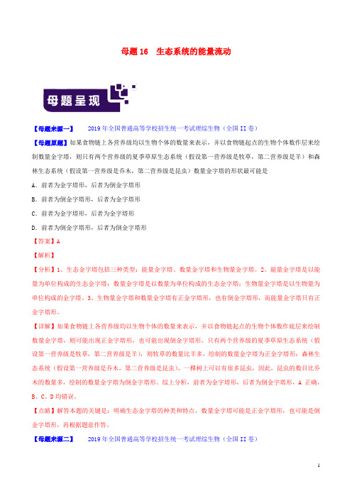 2019年高考生物母题题源系列专题16生态系统的能量流动含解析20190919293