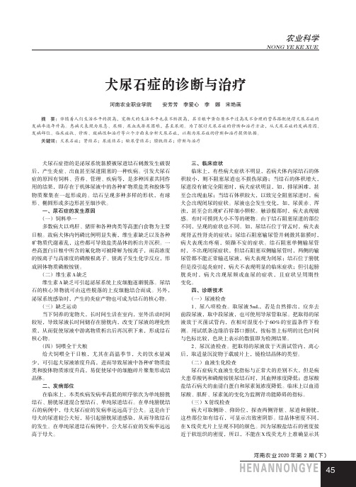 犬尿石症的诊断与治疗