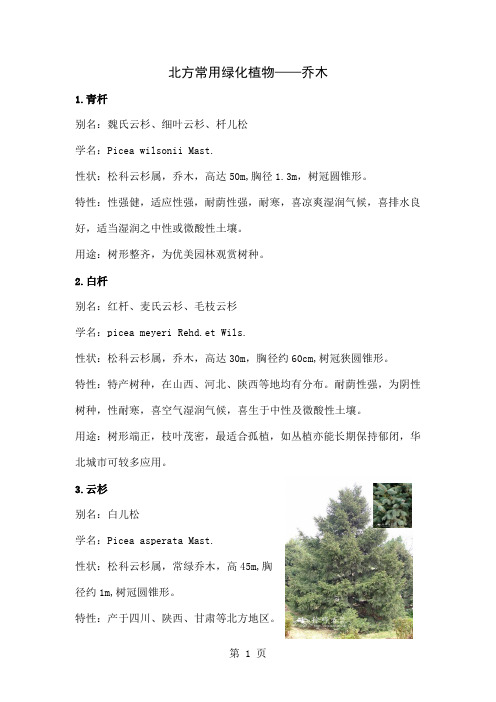 北方园林绿化常用植物-乔木-40页word资料
