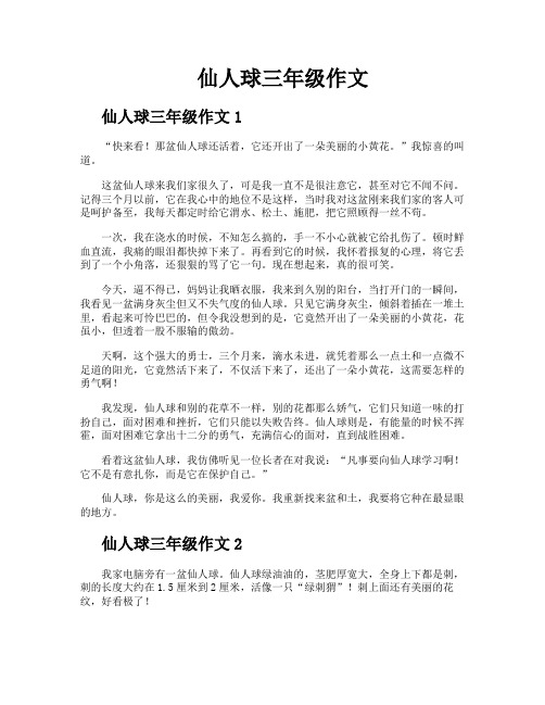 仙人球三年级作文