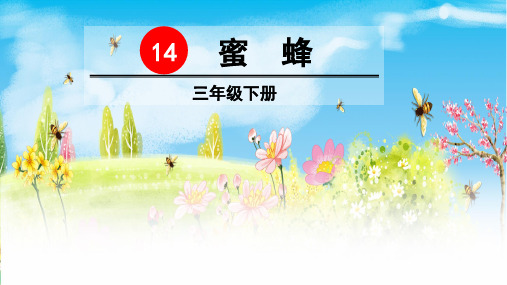 部编版三年级语文下册第14课《蜜蜂》精美课件(统编)
