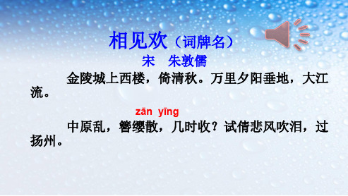 八年级语文上册相见欢 朱敦儒1ppt课件(人教版)