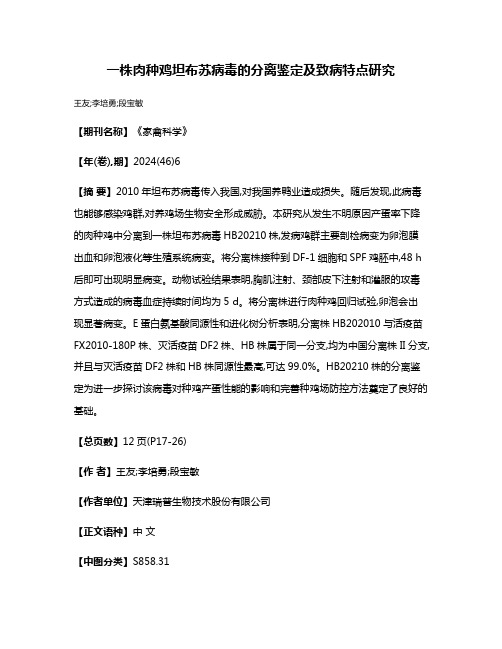 一株肉种鸡坦布苏病毒的分离鉴定及致病特点研究