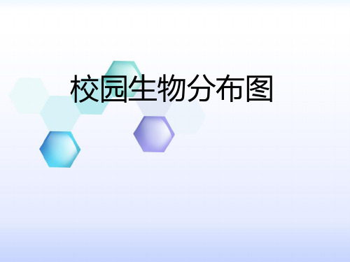 科学六年级上册(教科版)4-2《校园生物分布图》(课件)
