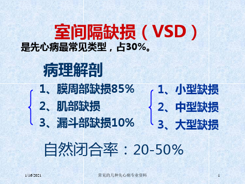 常见的几种先心病专业资料培训课件