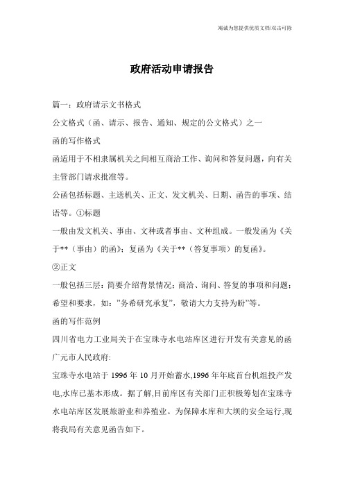 政府活动申请报告