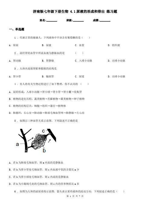 济南版七年级下册生物 4.1尿液的形成和排出 练习题