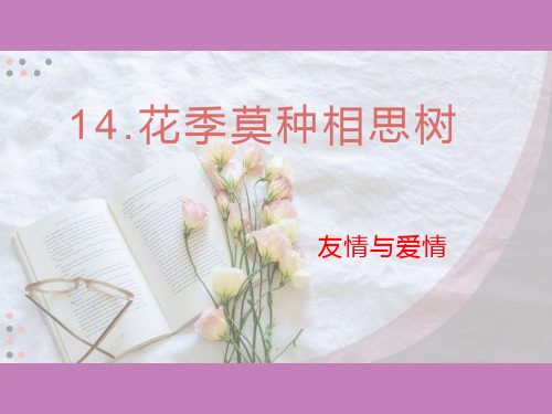 14.花季莫种相思树