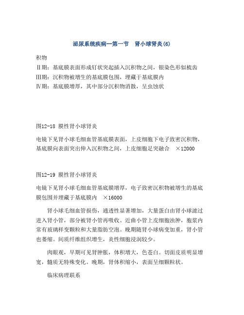 泌尿系统疾病--第一节 肾小球肾炎(6)