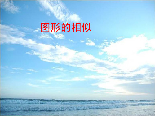 北师大版初中九年级数学上册《图形的位似》课件
