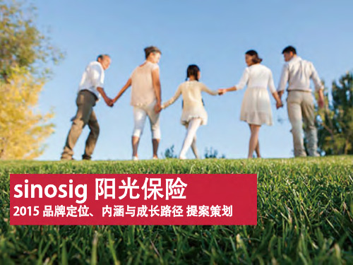 sinosig 阳光保险 2015 品牌品牌定位和内涵 提案策划