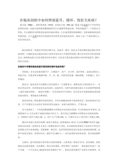 在临床剖检中如何辨别蓝耳、圆环、伪狂犬疾病？