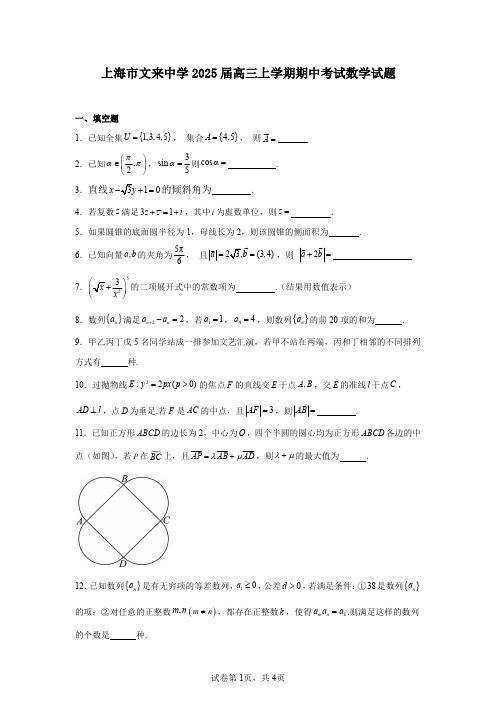 上海市文来中学2025届高三上学期期中考试数学试题