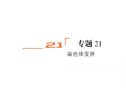高三生物一轮复习课件人教版：专题21    染色体变异