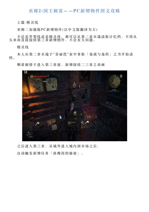 巫师2国王刺客——PC新增物件图文攻略