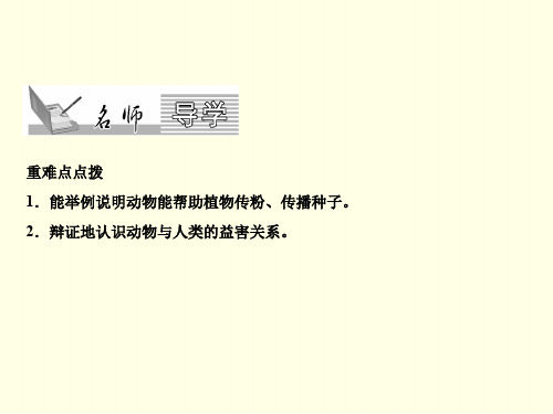 初二上生物课件(人教版)-帮助植物传粉、传播种子