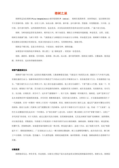 榕树介绍