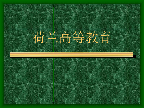 4荷兰高等教育