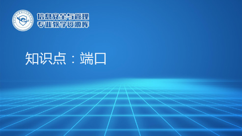 端口Port优选PPT