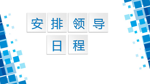 安排领导日程