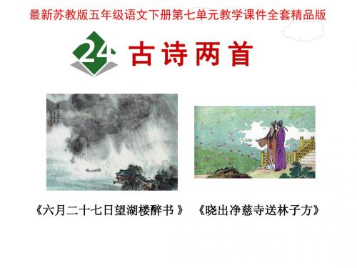 苏教版五年级语文下册第七单元教学课件全套精品版