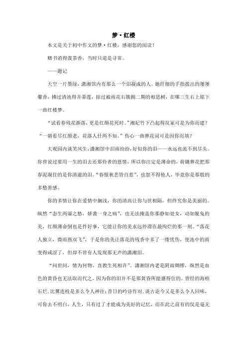梦·红楼_初中作文