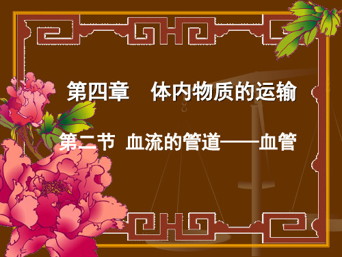 血流的管道——血管 PPT课件 人教版