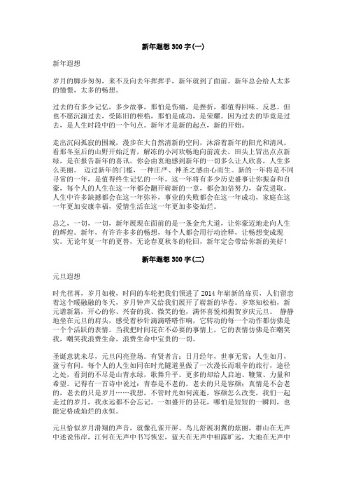 新年遐想300字