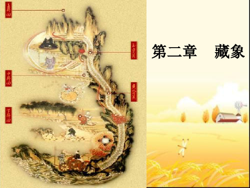 藏象  ppt课件