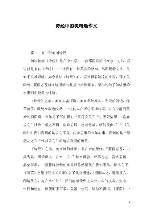 诗经中的美精选作文