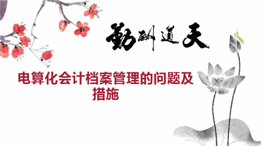 电算化会计档案管理的问题及措施